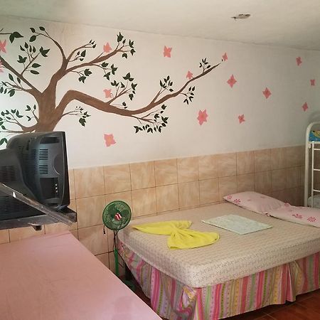 מלון מנאגווה Casa Liz מראה חיצוני תמונה